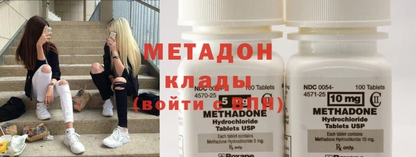 сатива Надым