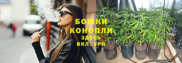 МДПВ Дмитров
