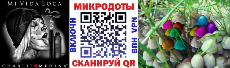 Псилоцибиновые грибы Cubensis  цены   Приморск 